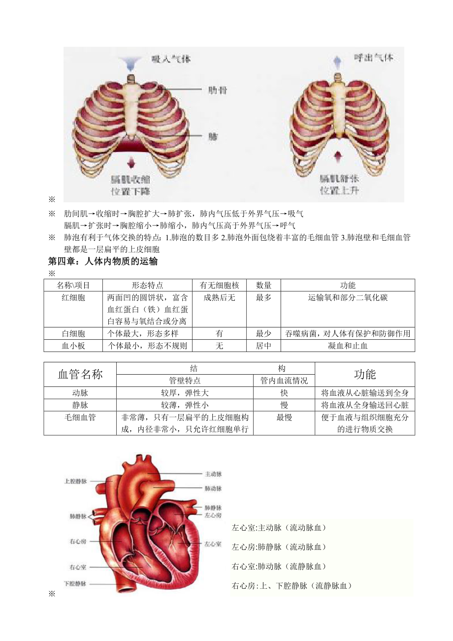 人教版七级下册生物复习资料1.doc_第2页