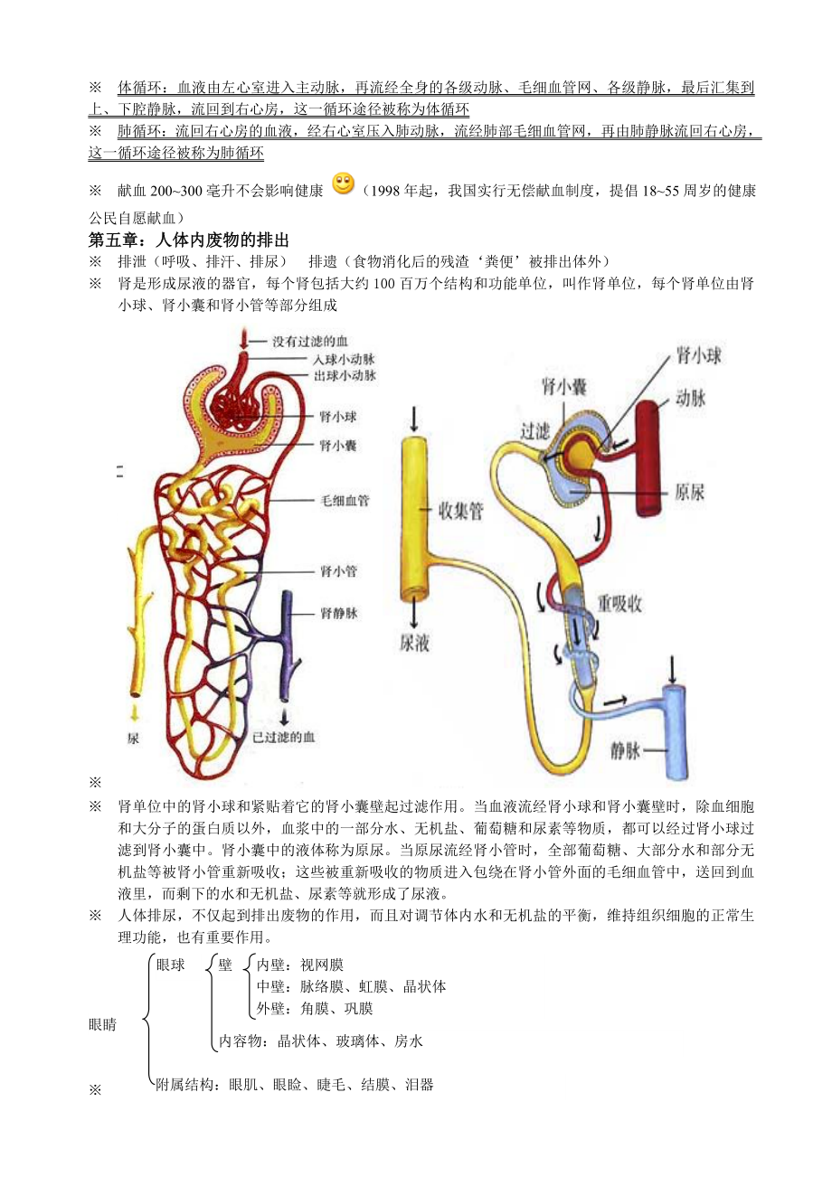 人教版七级下册生物复习资料1.doc_第3页