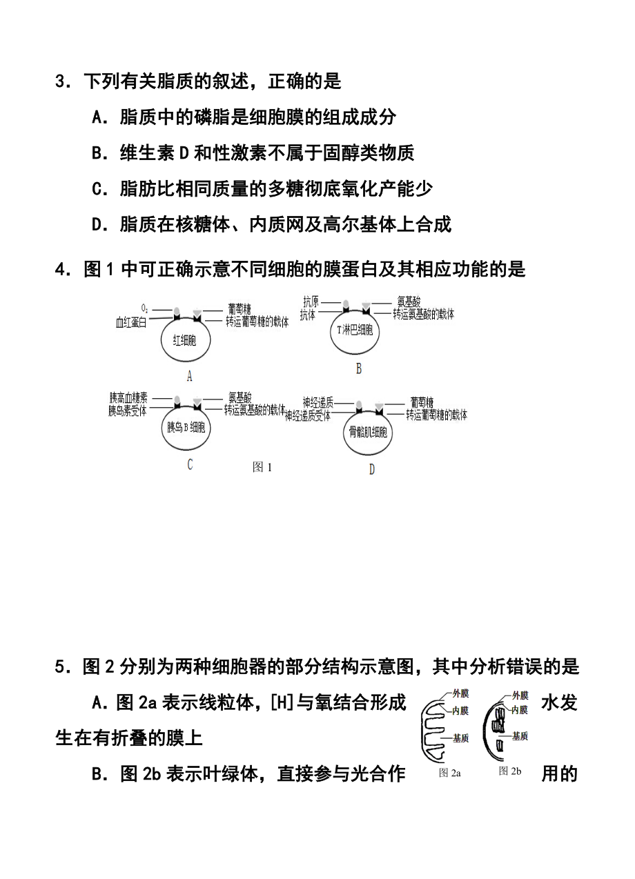 201上海市闸北区高三第二学期期中练习生物试题及答案.doc_第2页