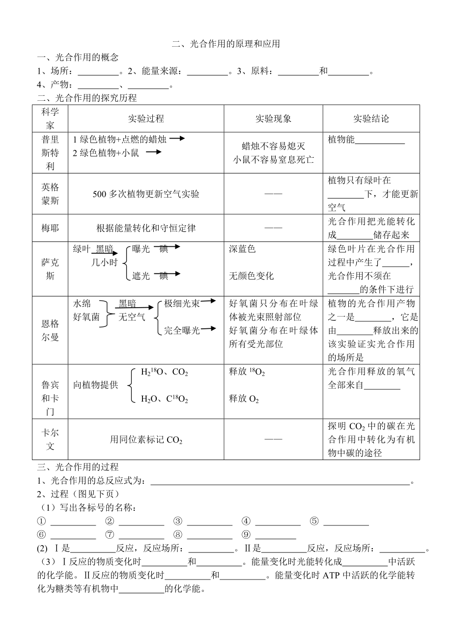 高中生物必修一第五章第4节光合作用导学案.doc_第2页