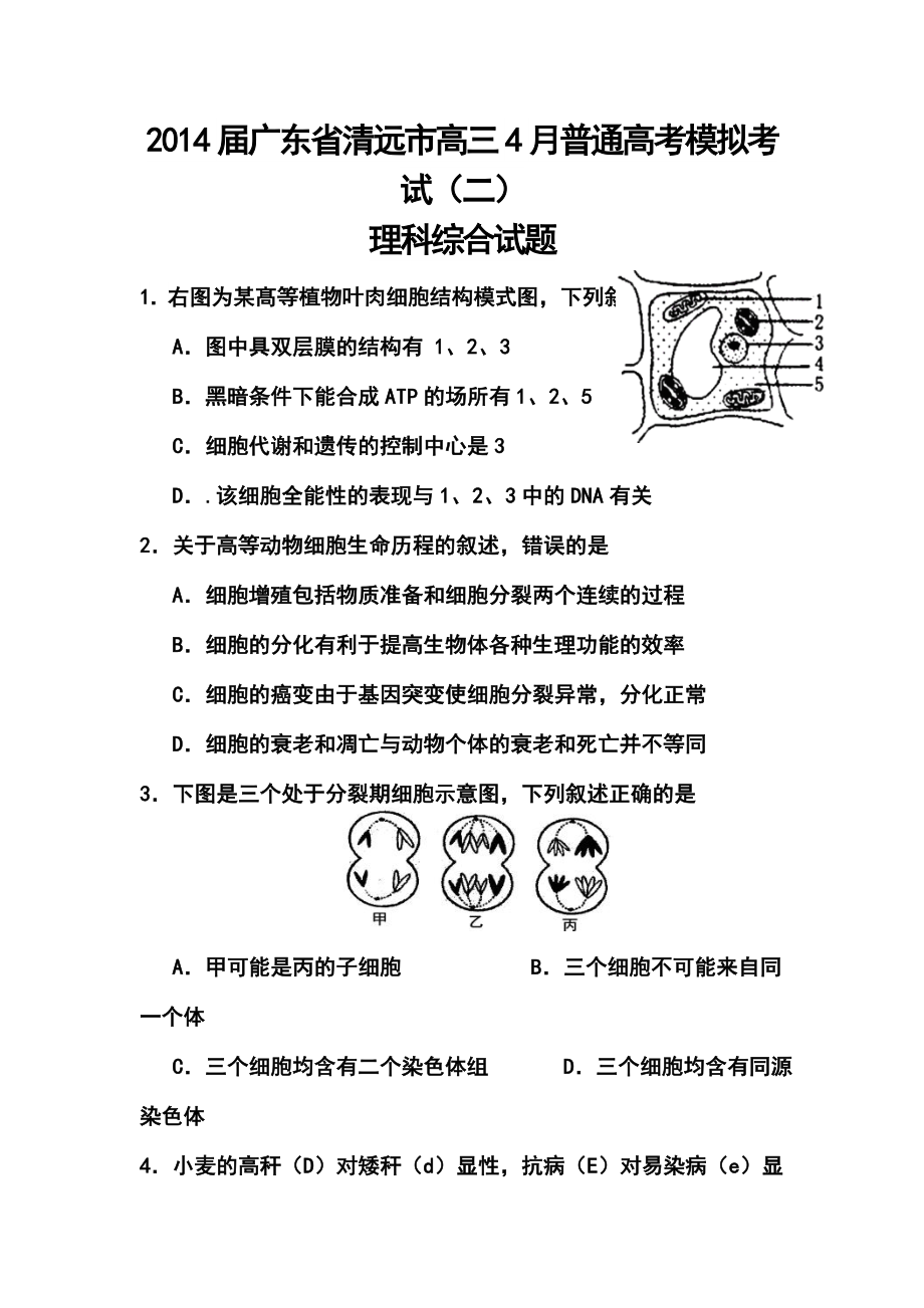 广东省清远市高三4月普通高考模拟考试（二）生物试题及答案.doc_第1页