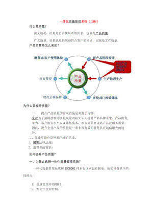 一体化质量管理体系.doc