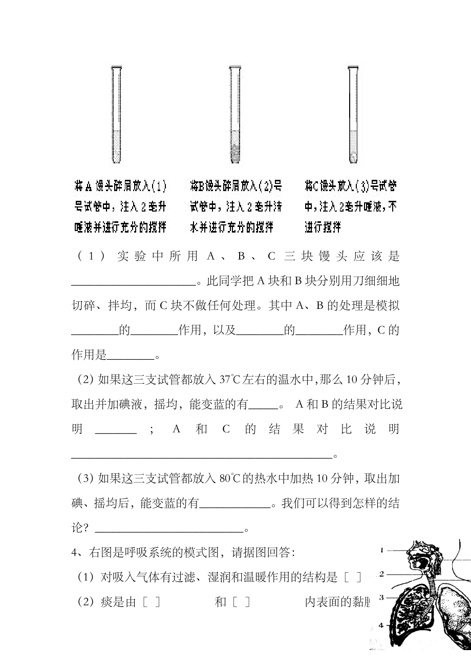 七年级生物下册重要识图填空题.doc_第2页