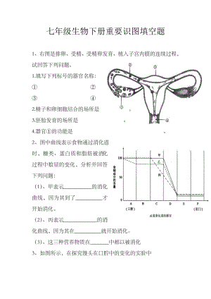 七年级生物下册重要识图填空题.doc