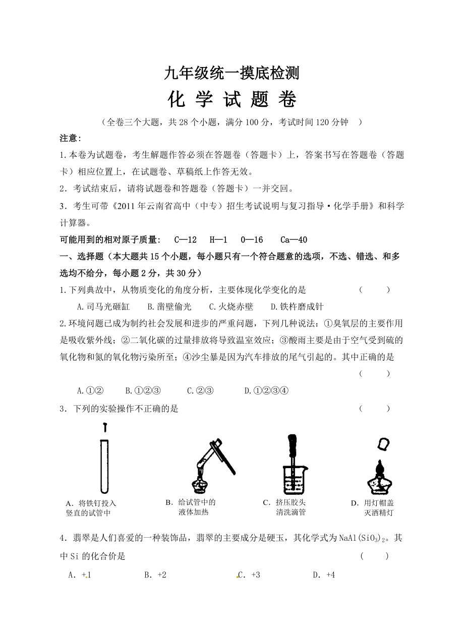 九级化学摸底检测试题卷.doc_第1页