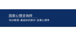 国家心理咨询师发展心理学.ppt