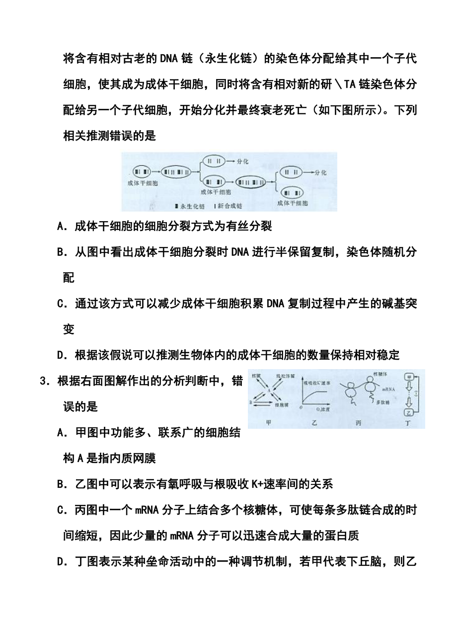 湖南师大附中高三第七次月考理科综合试题及答案.doc_第2页