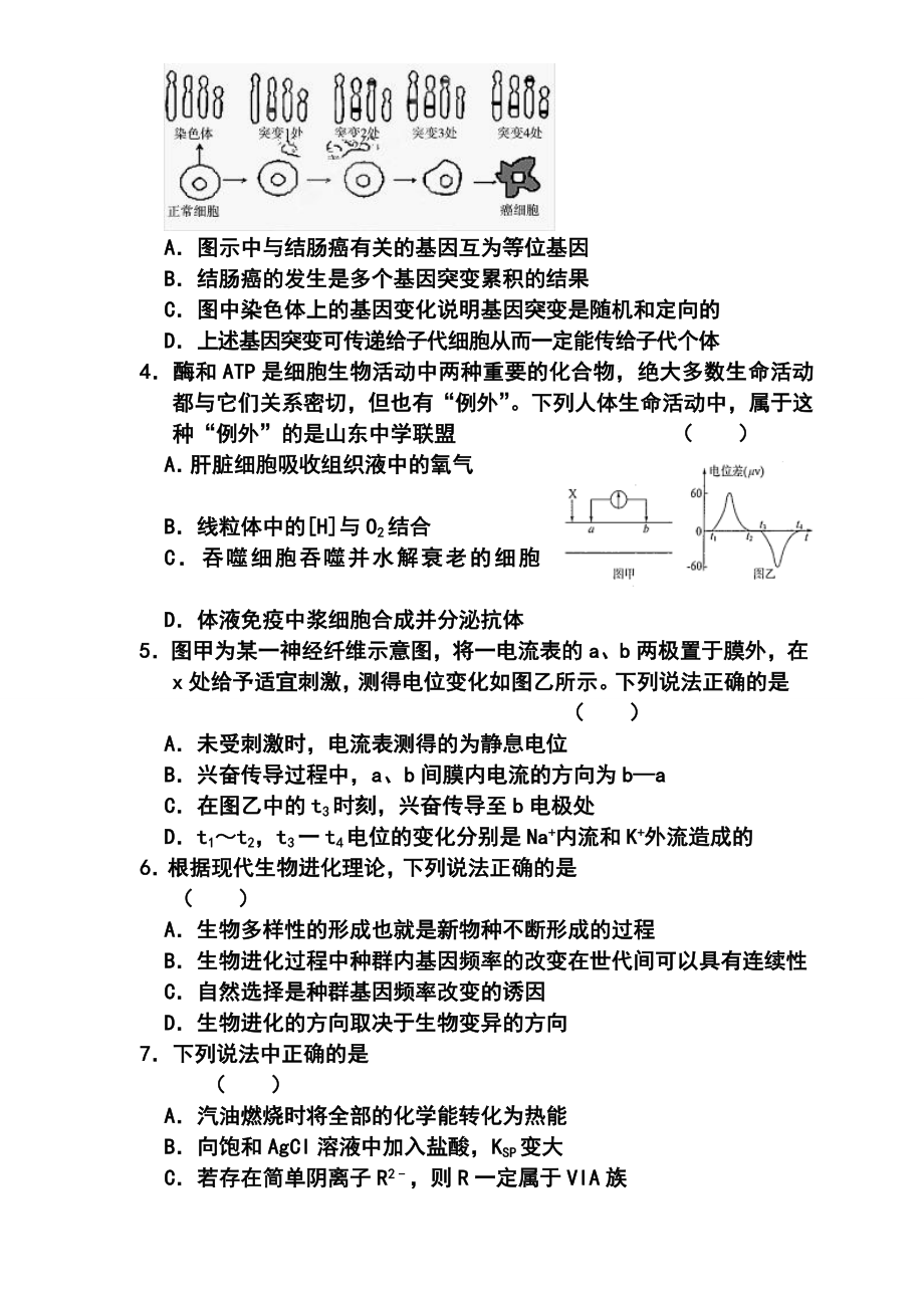 山东省高三高考仿真模拟冲刺考试（四）理科综合试题及答.doc_第2页