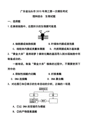 广东省汕头市高三第一次模拟考试生物试题及答案.doc