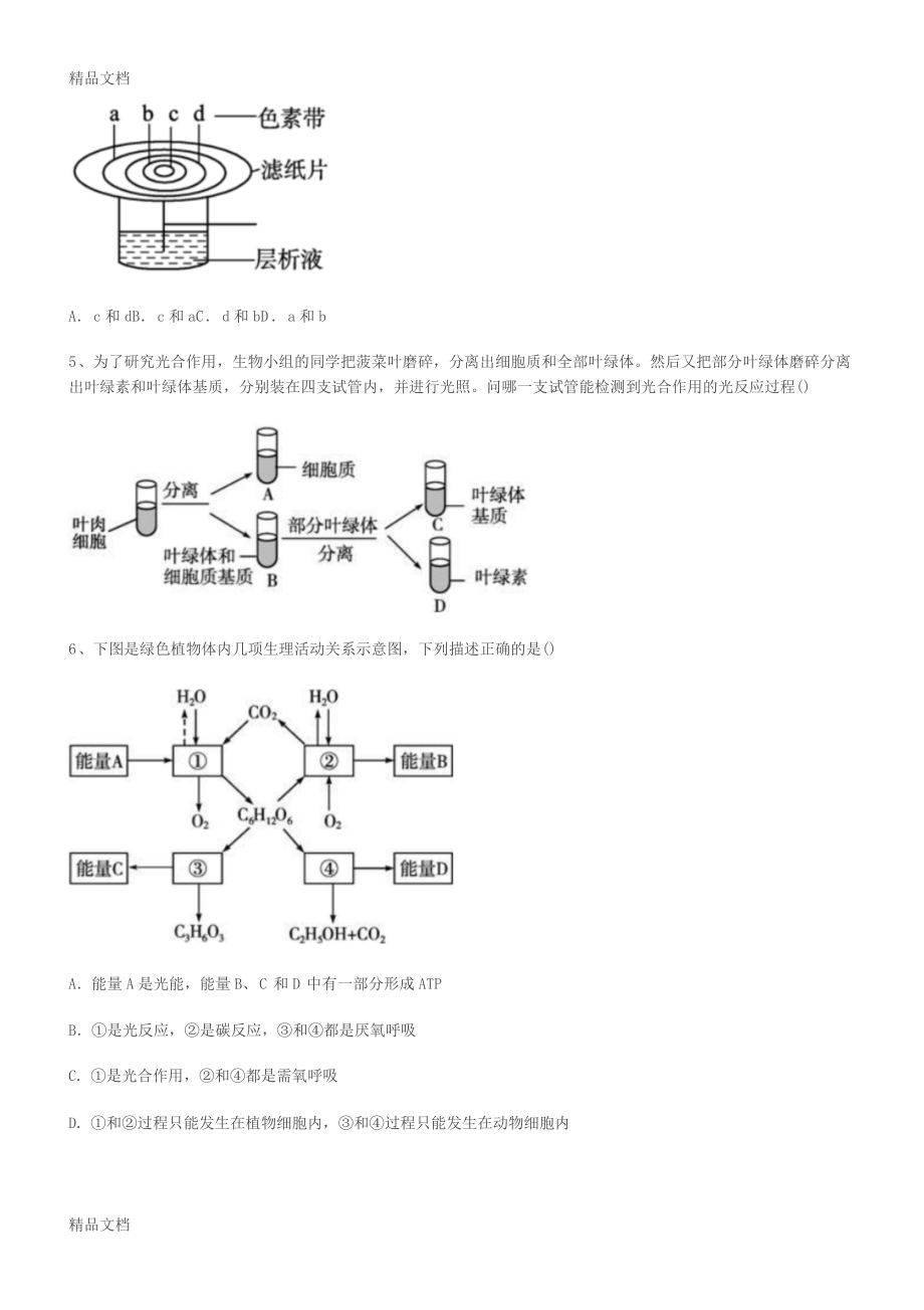 (整理)必修一光合作用训练题偏难.doc_第2页