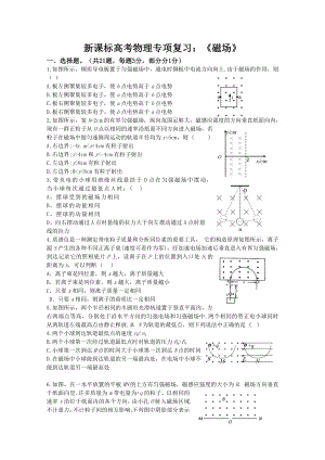 新课标高考物理专项复习：《磁场》.doc