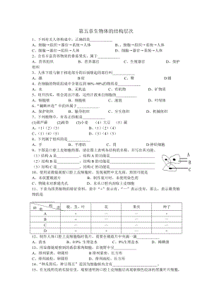 华师大版科学七下《第五章 生物体的结构层次》word同步测试（附答案） .doc