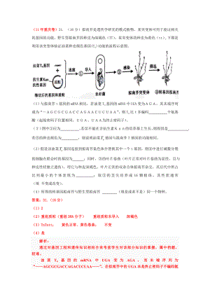 各地高考生物试题分类汇编(选修).doc