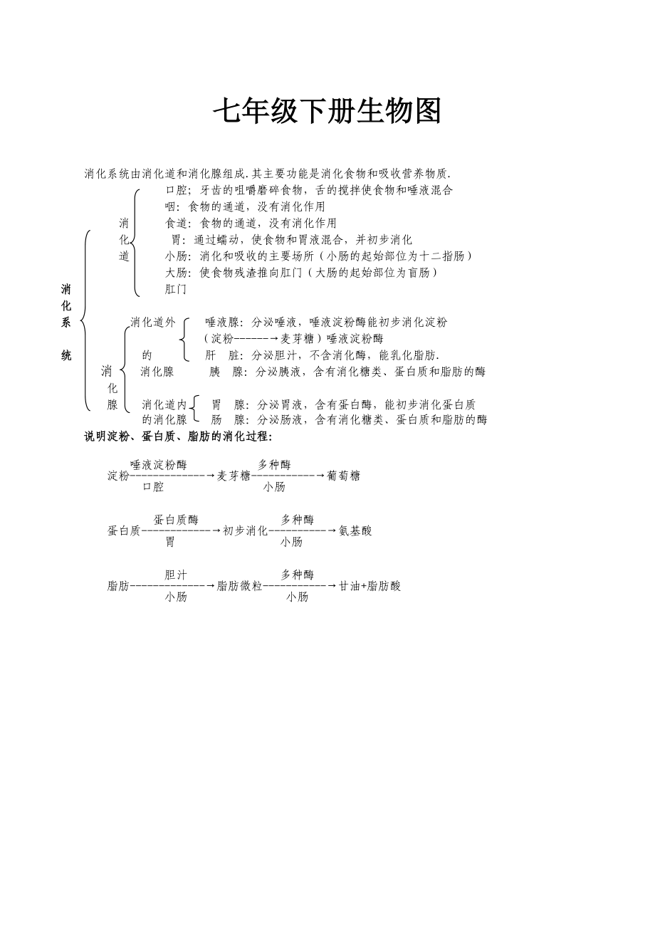 七年级下册生物图.doc_第1页