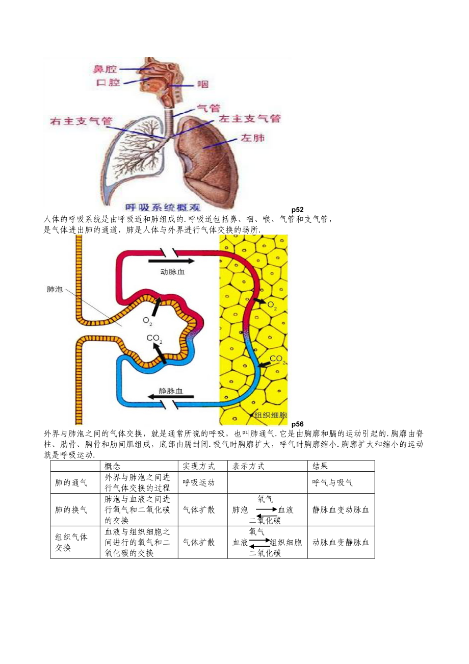 七年级下册生物图.doc_第3页