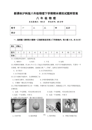 新课标沪科版八级物理下学期期末模拟试题附答案.doc