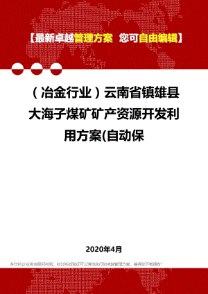 (冶金行业)云南省镇雄县大海子煤矿矿产资源开发利用方案(自动保.doc