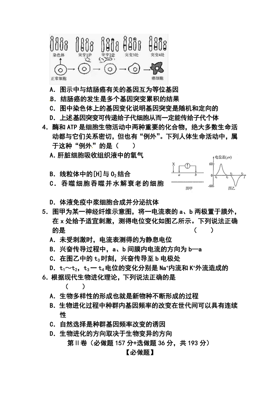 山东省高三高考仿真模拟冲刺考试（四）生物试题及答案.doc_第2页