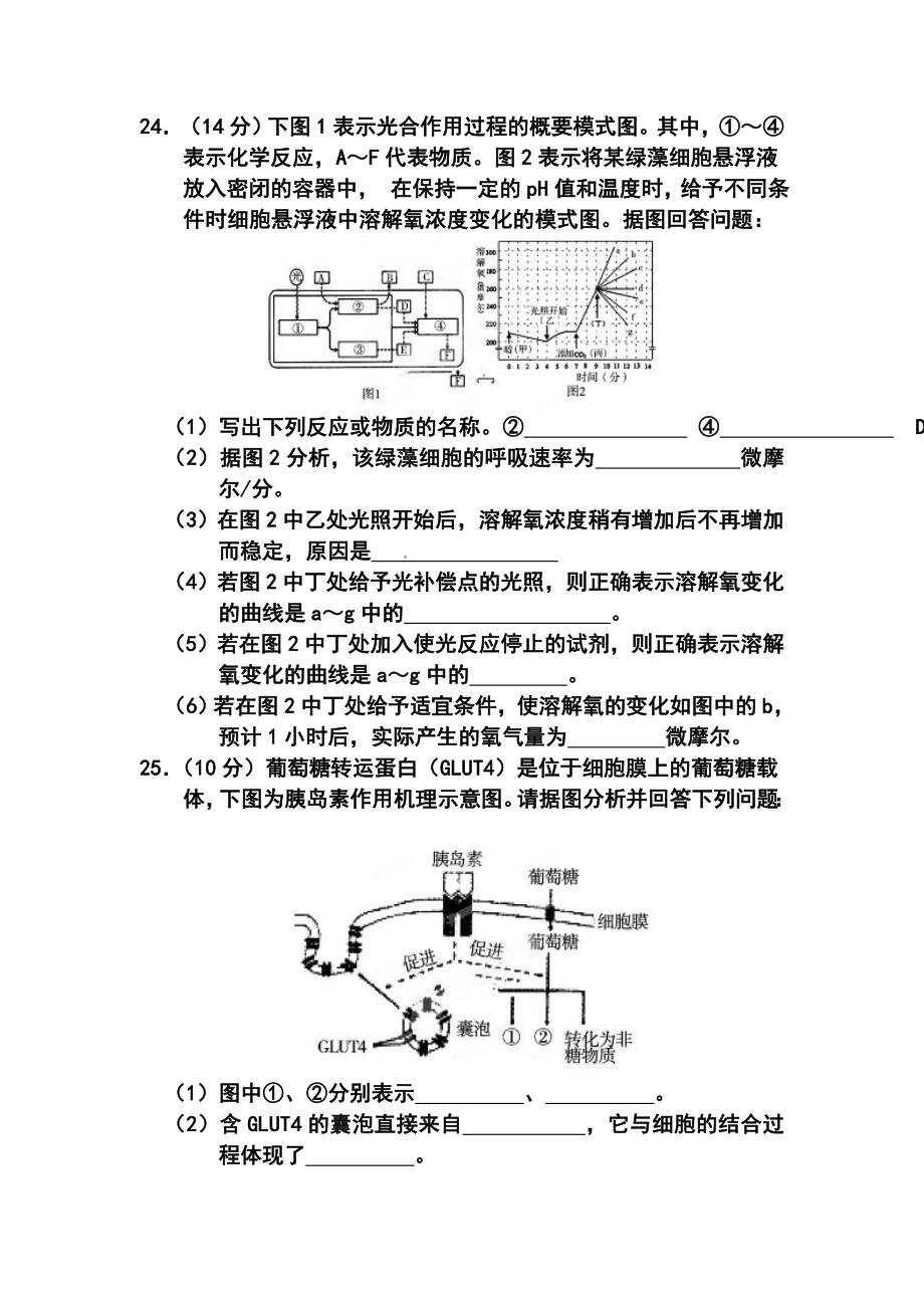 山东省高三高考仿真模拟冲刺考试（四）生物试题及答案.doc_第3页