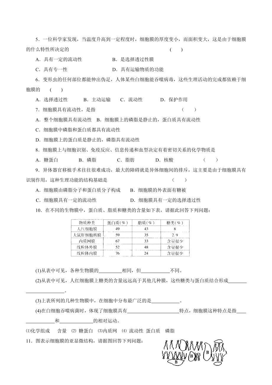 高中生物全套复习资料(必修一)(12)：第四章：第2节生物膜的流动镶嵌模型.doc_第3页