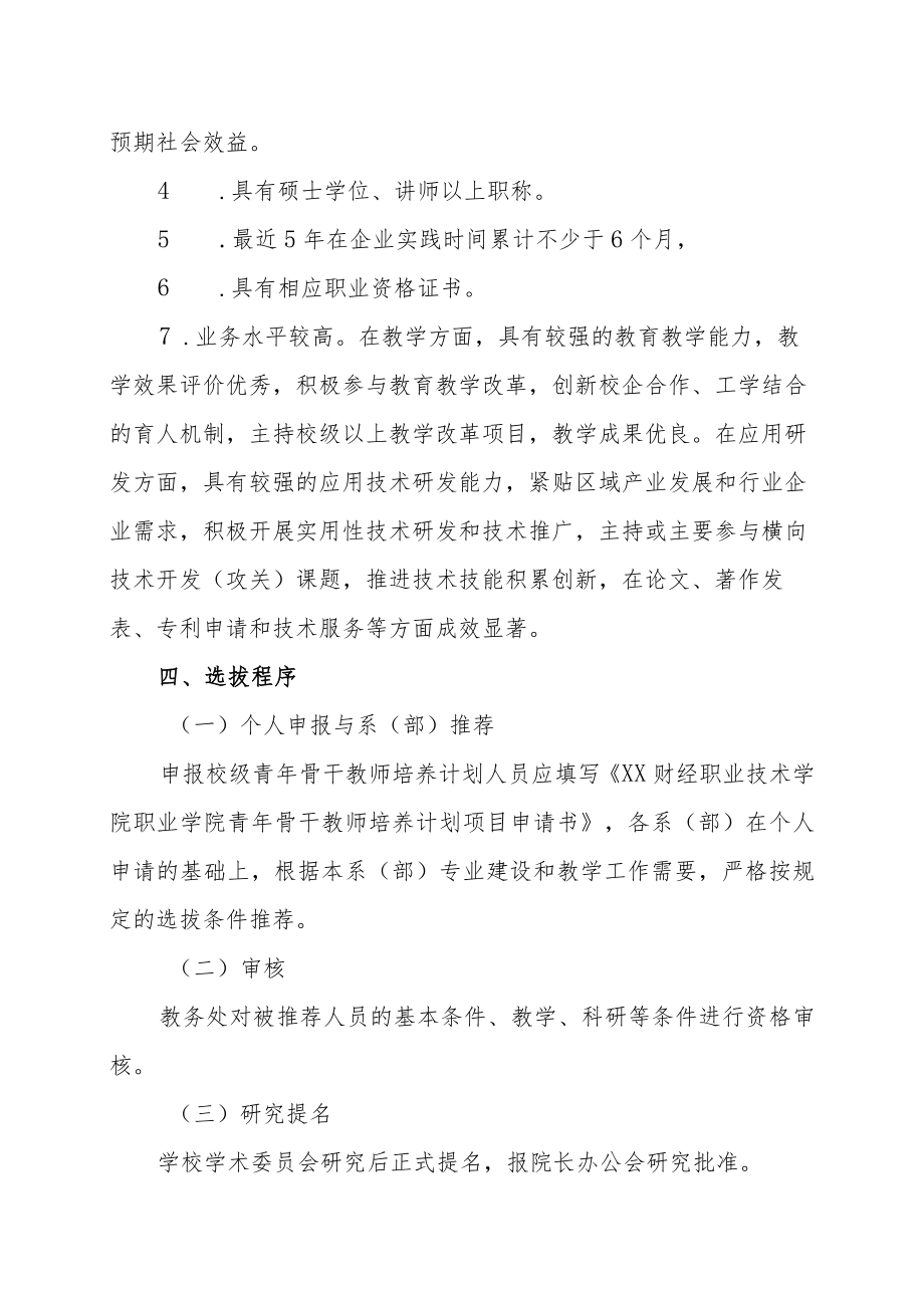 XX财经职业技术学院青年骨干教师培养计划.docx_第2页