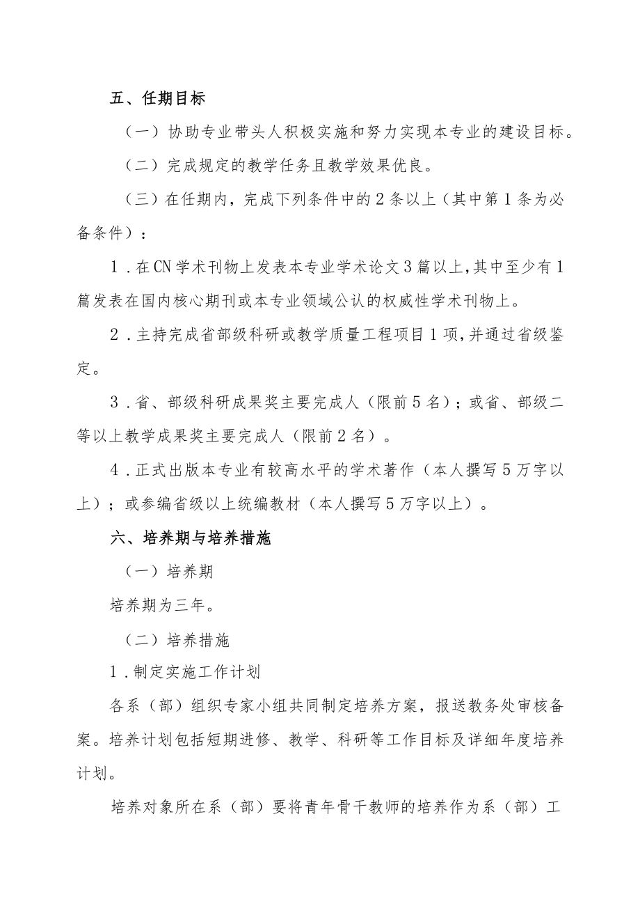 XX财经职业技术学院青年骨干教师培养计划.docx_第3页