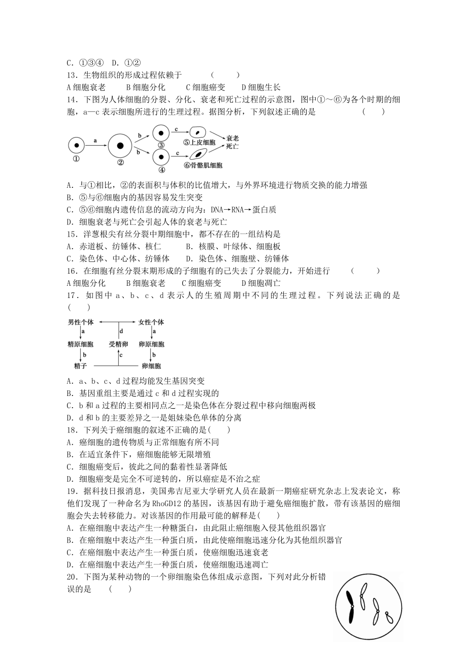 高考生物一轮复习 细胞的生命历程章末测试1 新人教版.doc_第3页