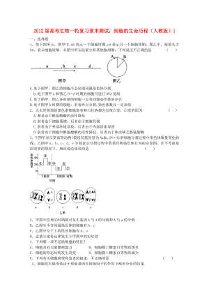 高考生物一轮复习 细胞的生命历程章末测试1 新人教版.doc