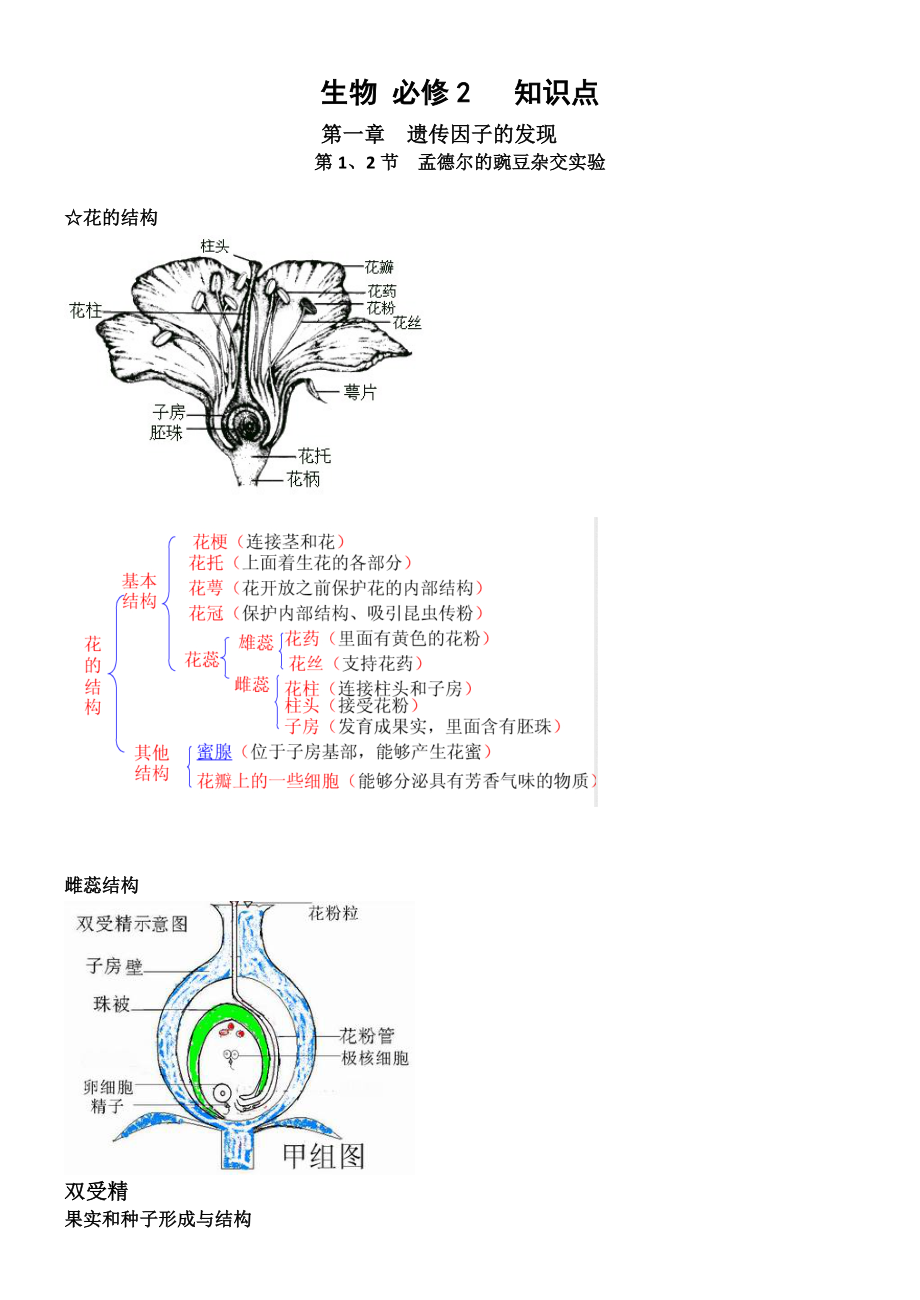 高中生物必修二知识点.doc_第1页