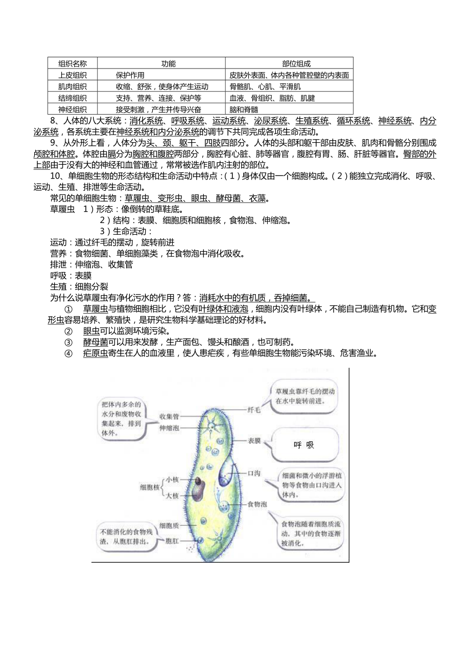 苏科版七级下册生物复习提纲.doc_第2页