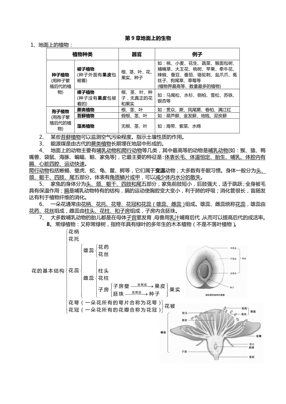 苏科版七级下册生物复习提纲.doc_第3页