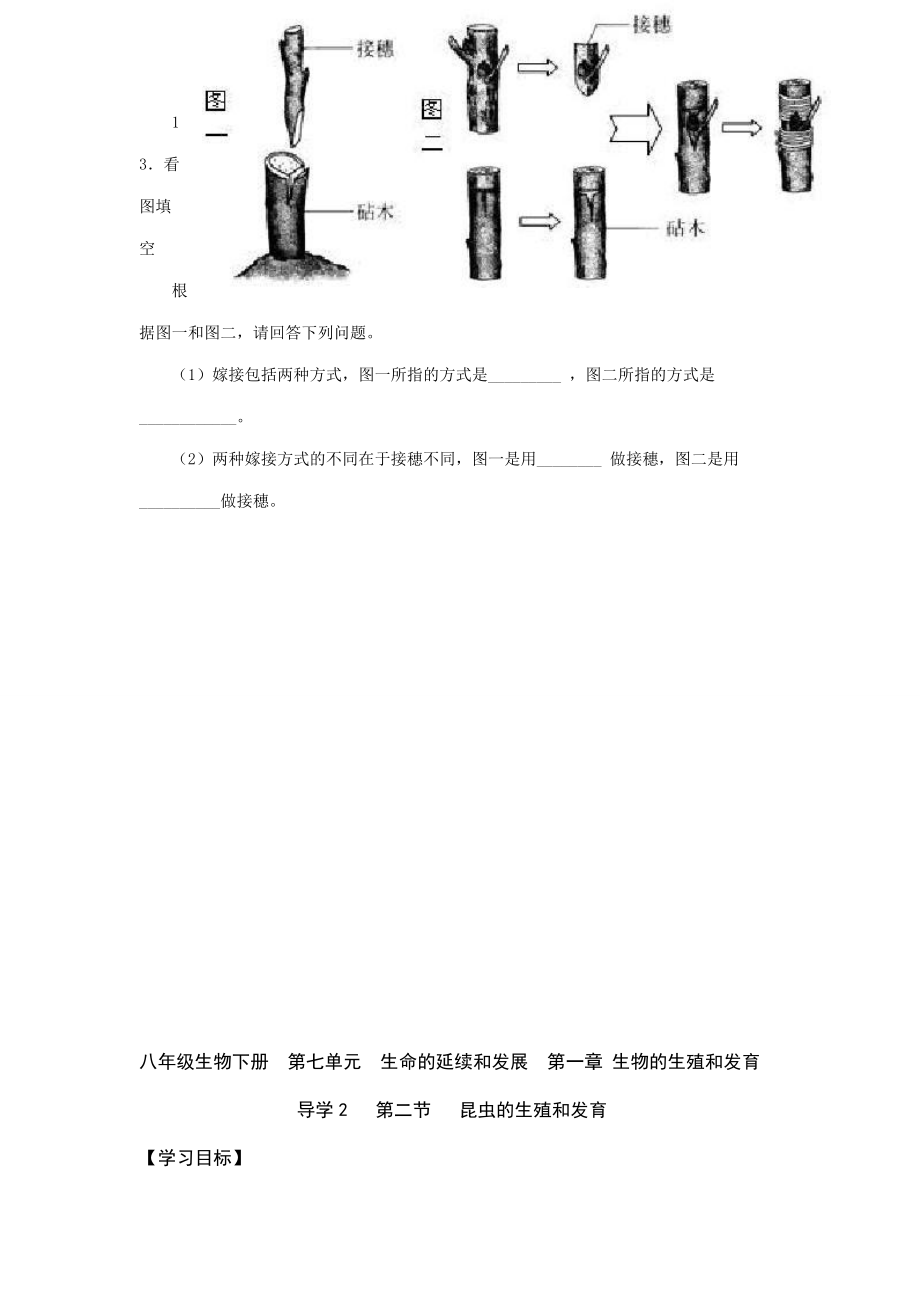 人教版()八级生物下册导学案全册.doc_第3页