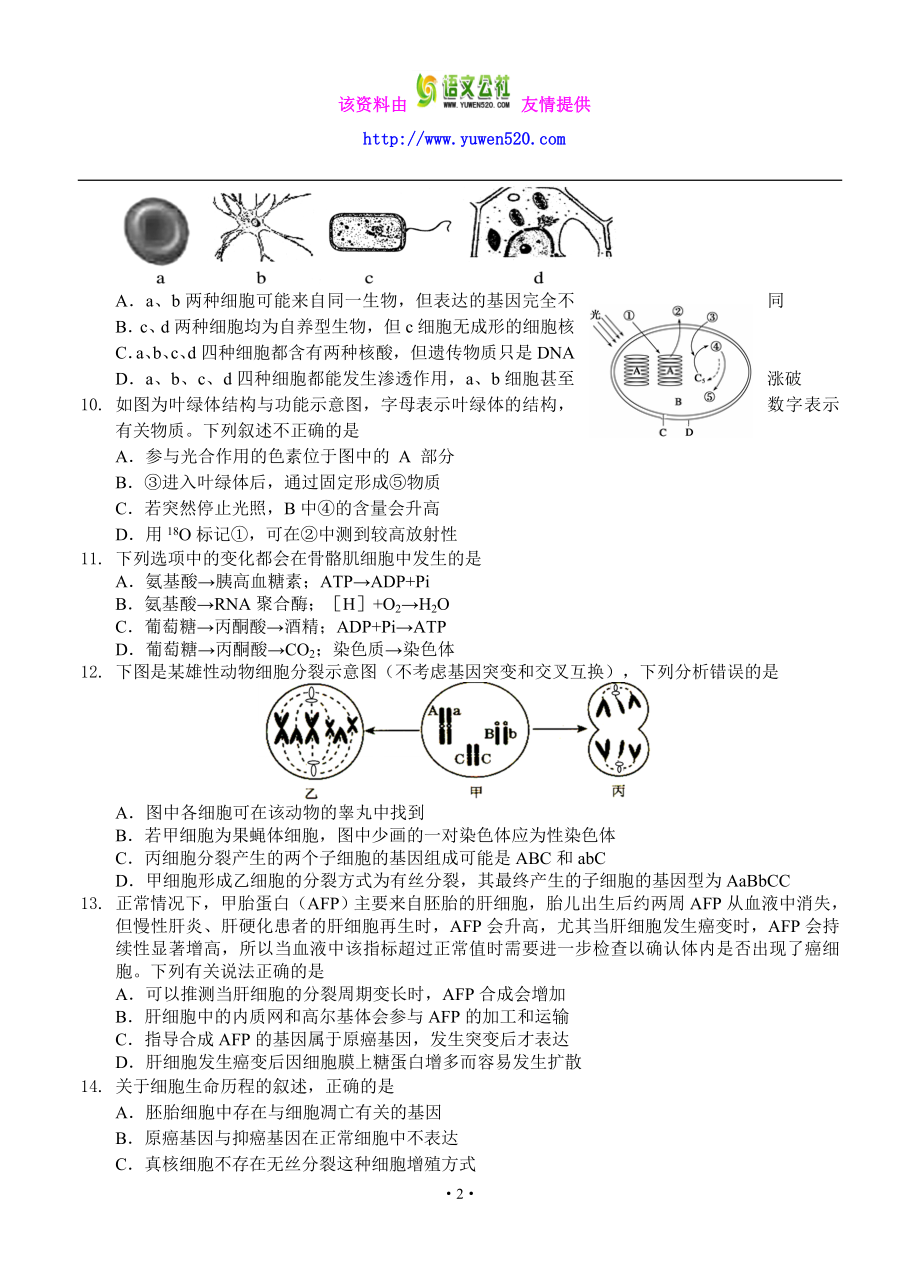 北京市朝阳区高三上学期期中考试生物试题（含答案） .doc_第2页