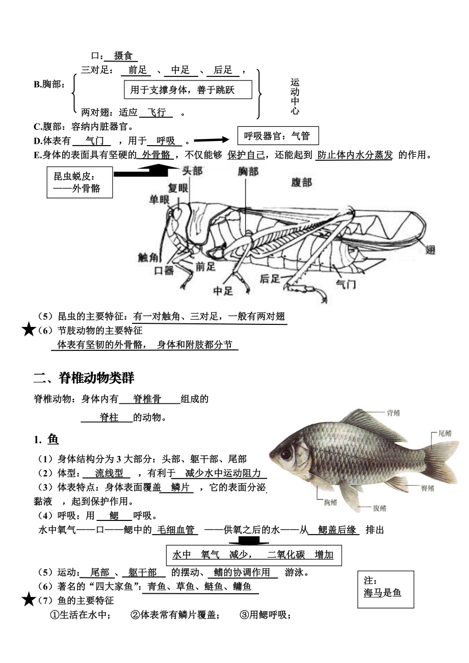 人教版八级生物上第一章知识点汇总.doc_第3页