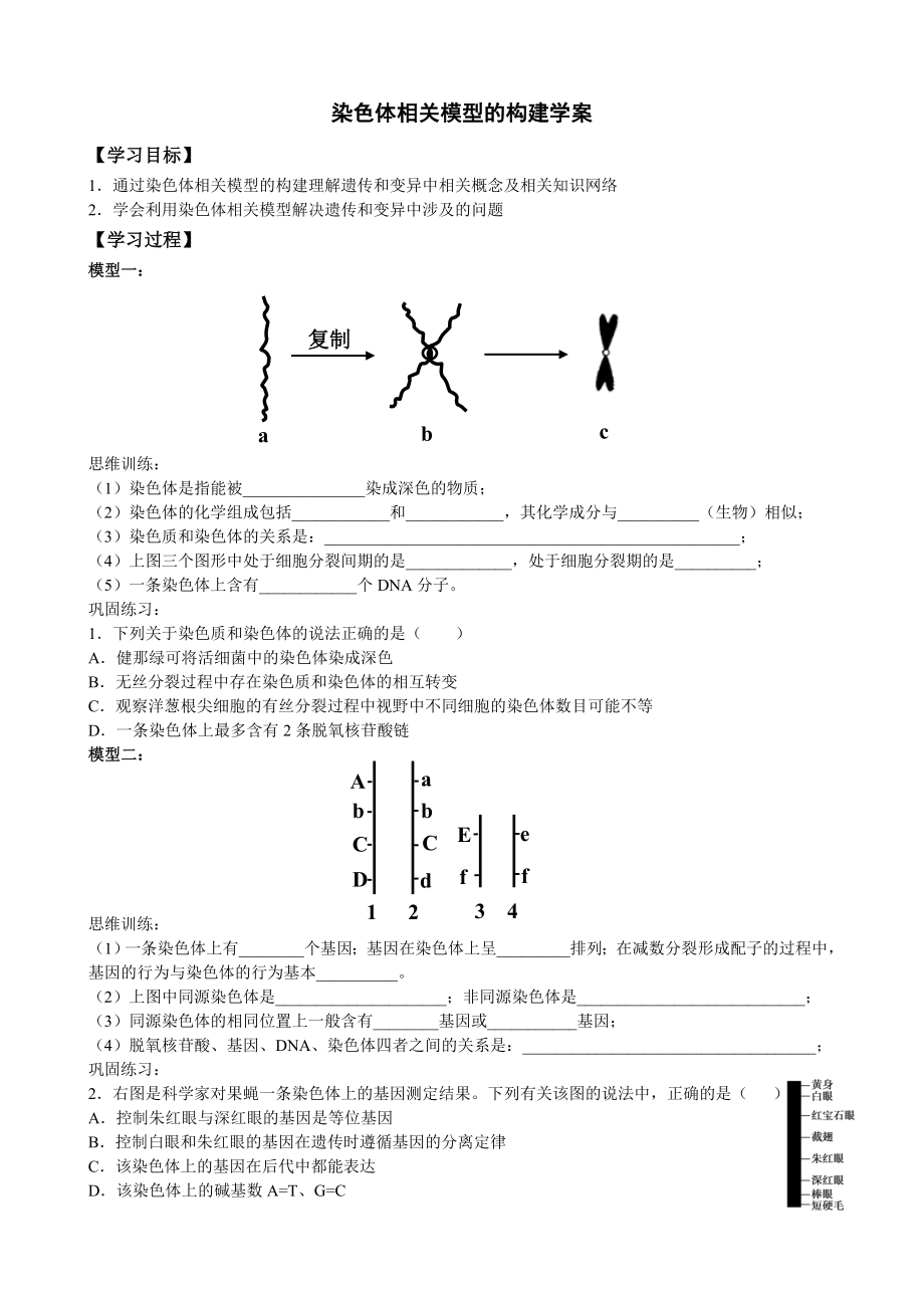 高考生物专题复习：染色体相关模型的构建（学案及课后检测）（学生用）.doc_第1页