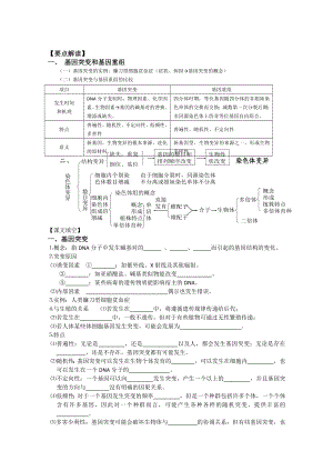 湖南省衡南县第九中学高中生物必修二：第九课时基因突变及其他变异学案.doc