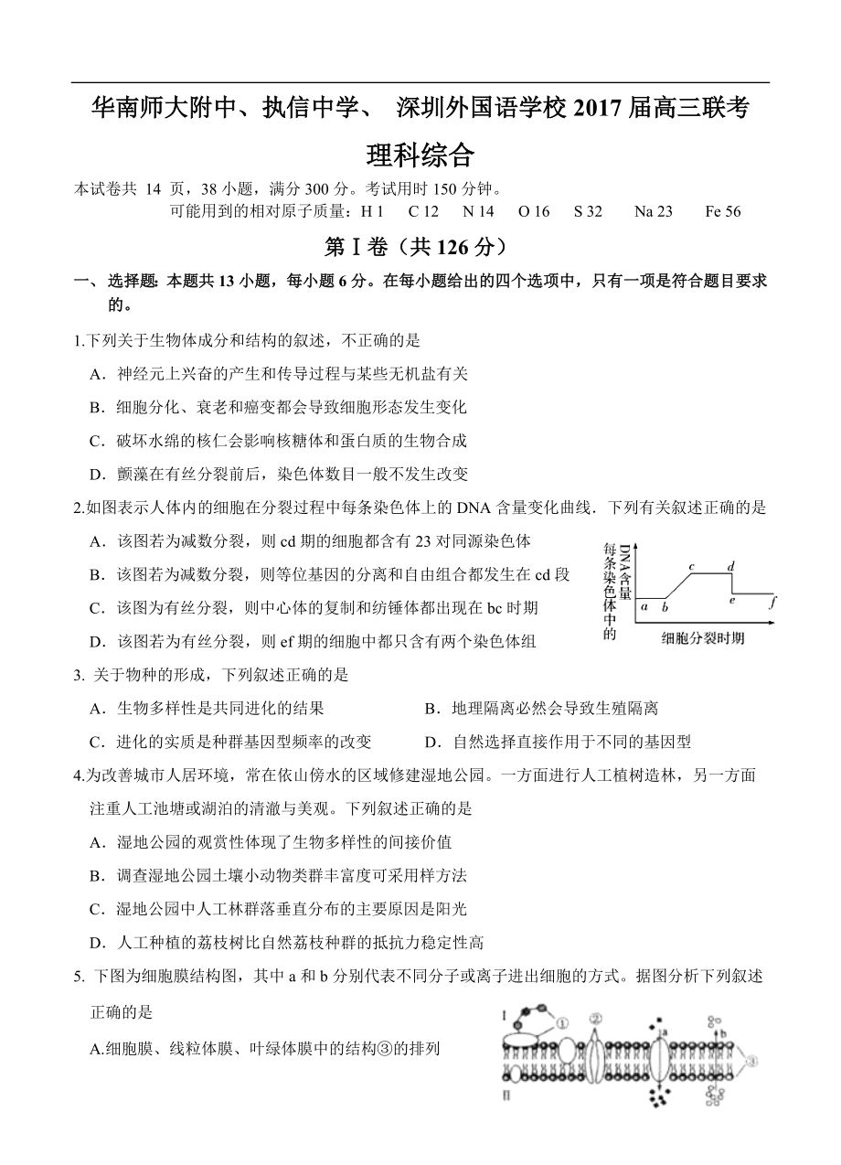 广东省华附、执信、深外高三联考理综试题及答案.doc_第1页