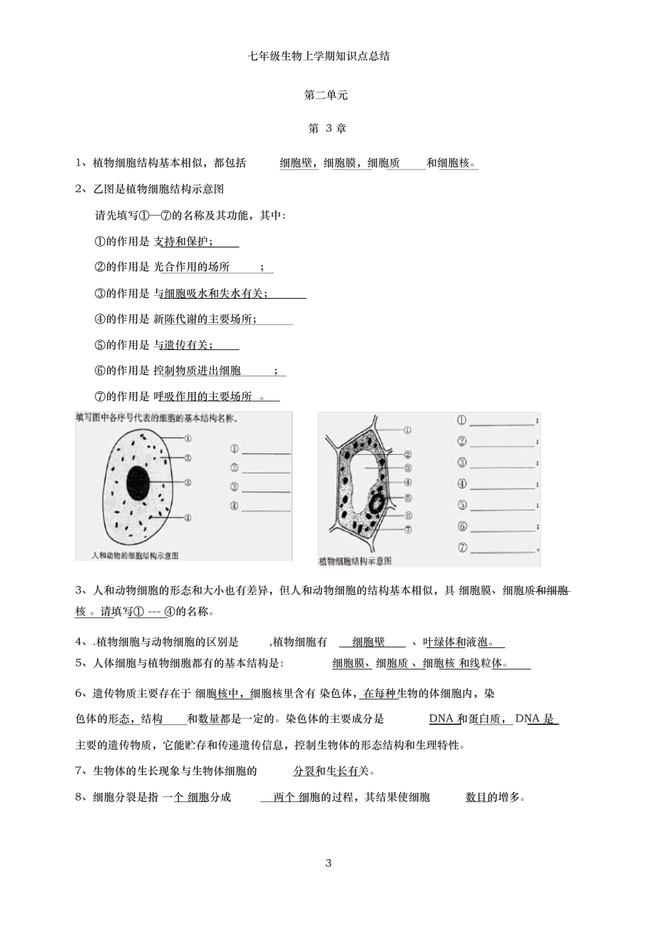 七年级上册生物重点知识.docx_第3页