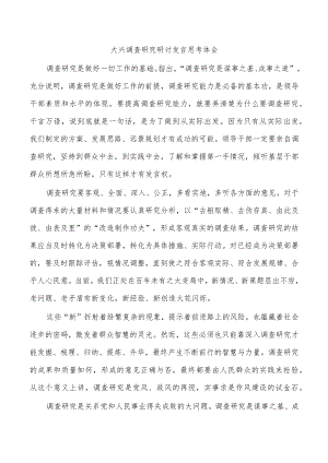 大兴调查研究研讨发言思考体会.docx