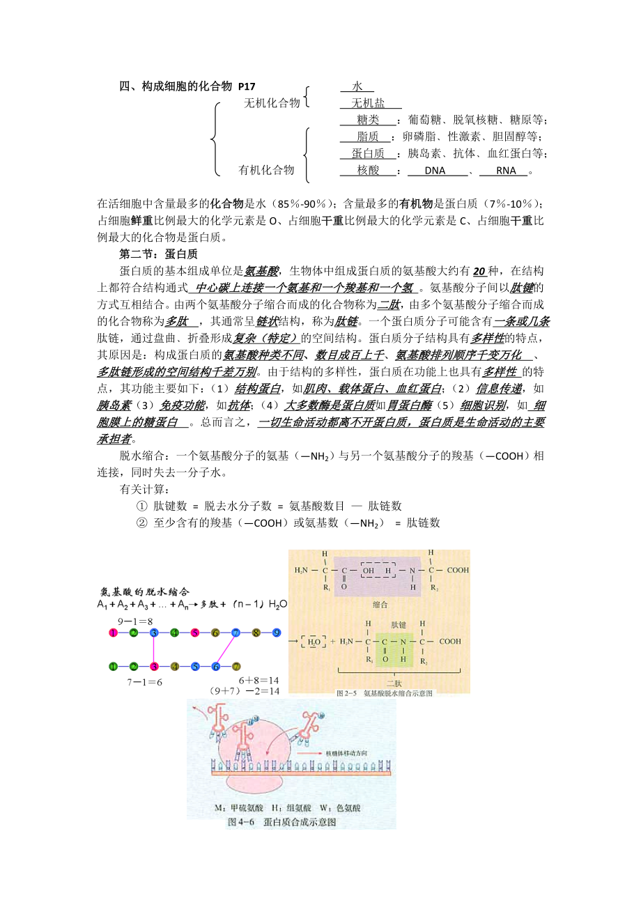 高考必备：高三生物知识点汇编【精心整理知识点完整总结】 .doc_第2页