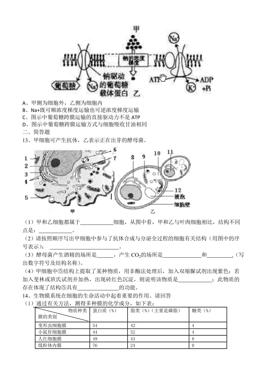 高三生物新课标第二单元测试题.doc_第3页