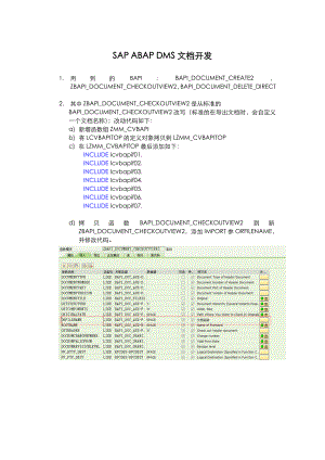 SAPABAPDMS文档管理开发.doc