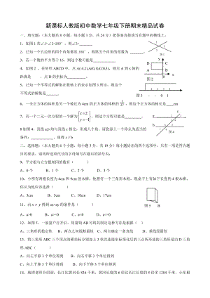 新课标人教版初中数学七级下册期末精品试卷.doc