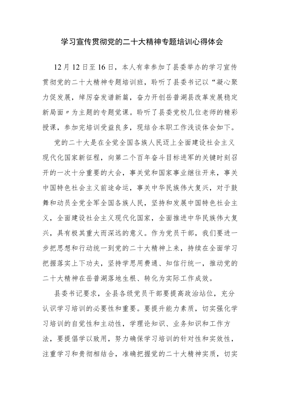 学习宣传贯彻党的二十大精神专题培训心得体会.docx_第1页