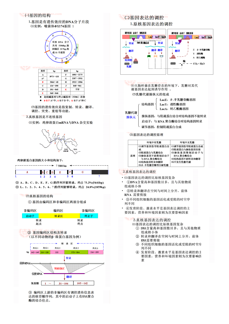 生物技术专题.doc_第1页