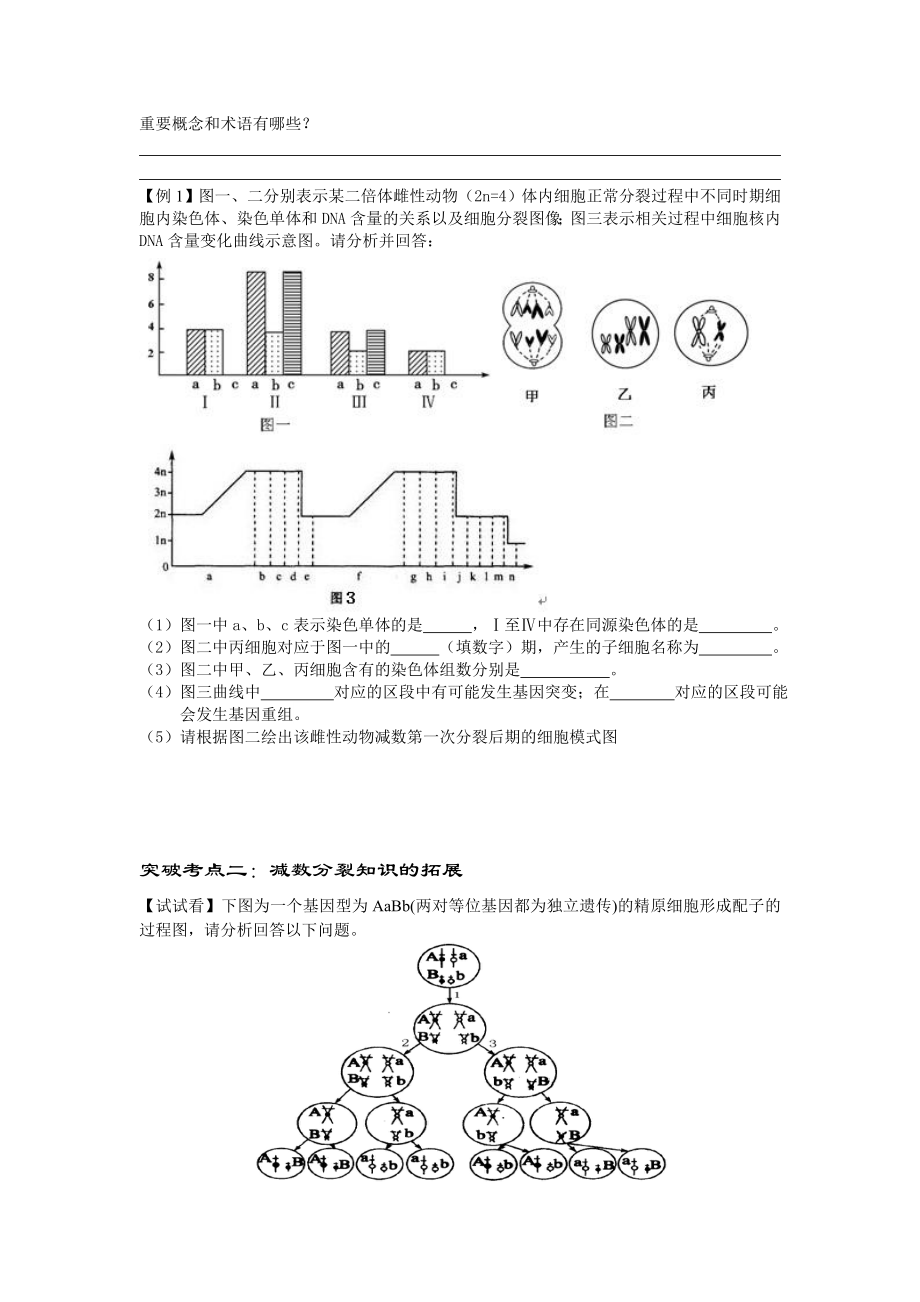 人教版高三生物二轮复习学案专题3《细胞增殖》 .doc_第3页