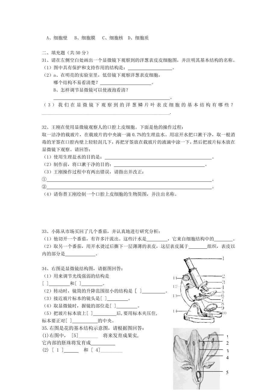 七级生物上册期末复习练习题.doc_第3页