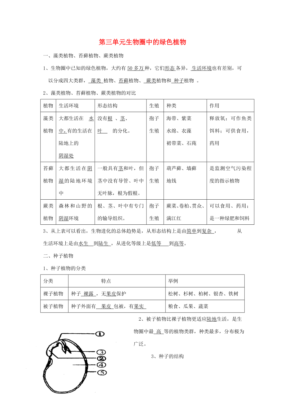 七年级生物上册第三单元-生物圈中的绿色植物知识点-新人教版.doc_第1页