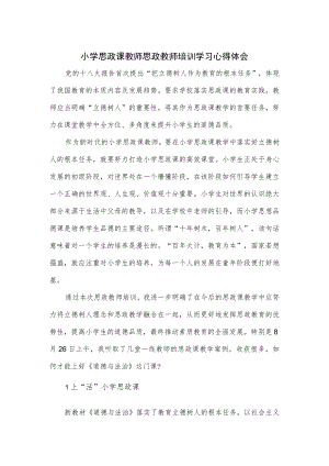 小学思政课教师思政教师培训学习心得体会.docx