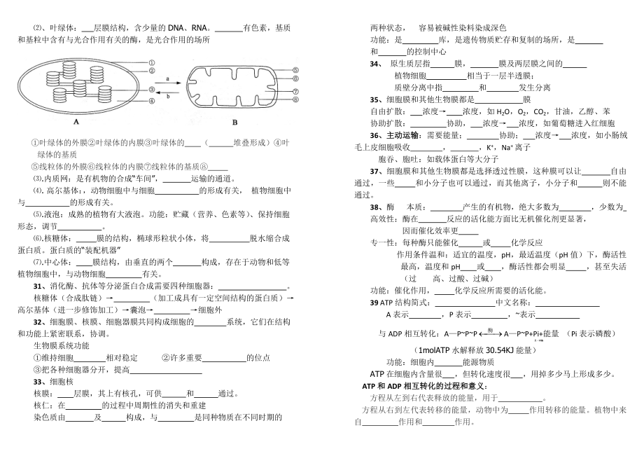 高中生物必修13基础知识点填空.doc_第3页